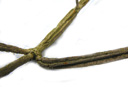 common maple (acer campestre), weathered corky ridges on older twigs. 2009-01-26, Pentax W60. keywords: érable champêtre, acero campestre, oppio